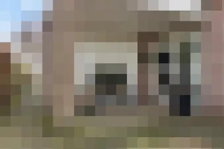 it Foardek 31 Heerenveen thumbnail 12