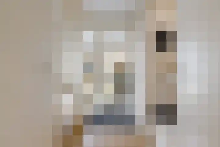 it Foardek 31 Heerenveen thumbnail 13