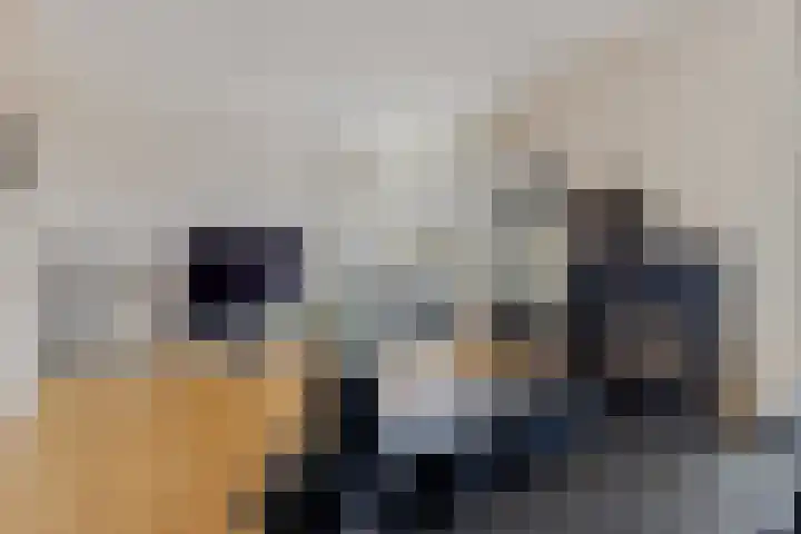 it Foardek 31 Heerenveen thumbnail 16