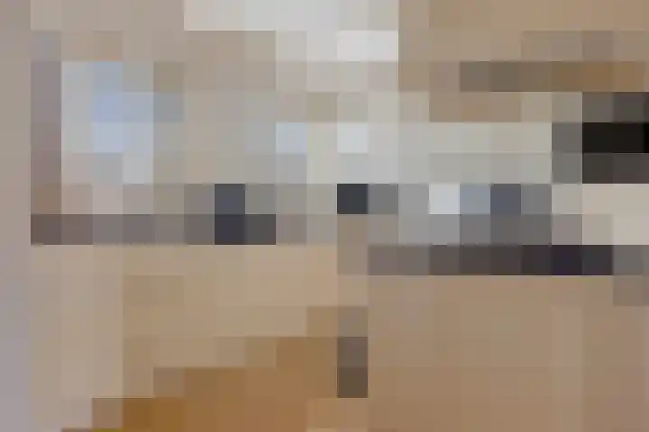 it Foardek 31 Heerenveen thumbnail 19
