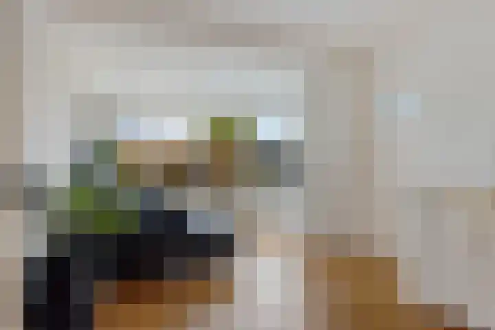 it Foardek 31 Heerenveen thumbnail 24