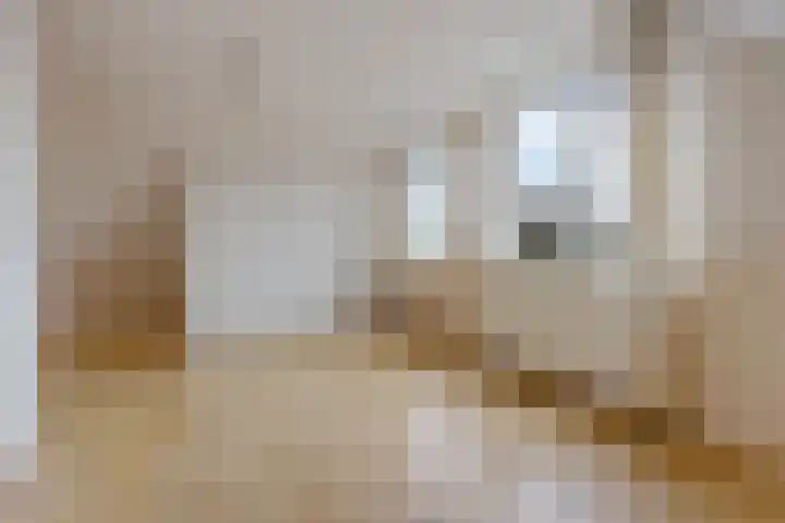 it Foardek 31 Heerenveen thumbnail 32