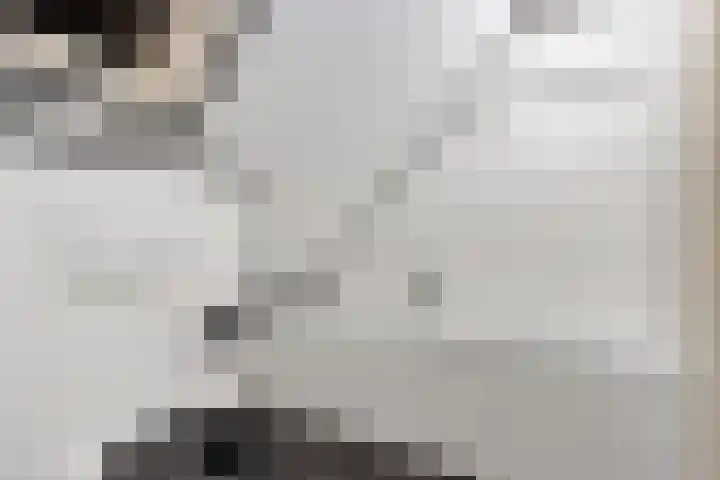 it Foardek 31 Heerenveen thumbnail 35