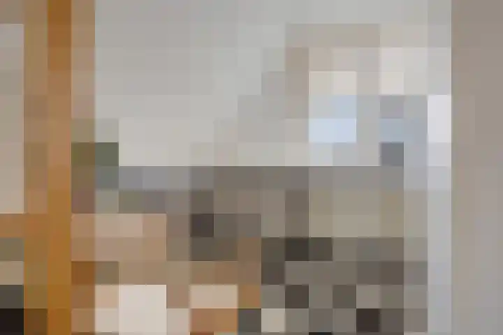 it Foardek 31 Heerenveen thumbnail 36