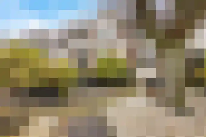 it Foardek 31 Heerenveen thumbnail 38