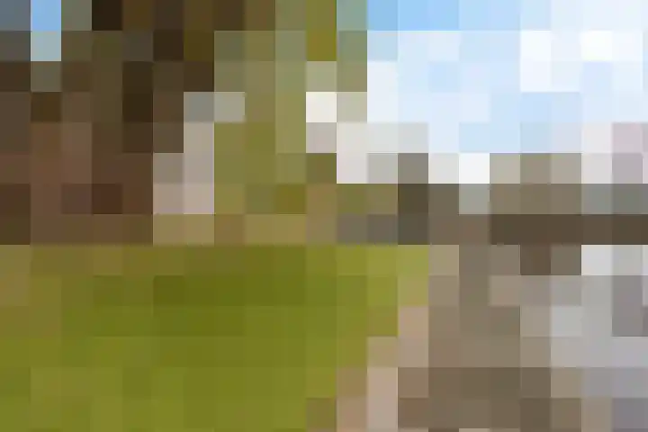 it Foardek 31 Heerenveen thumbnail 39