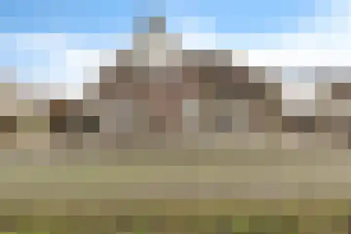 it Foardek 31 Heerenveen thumbnail 4