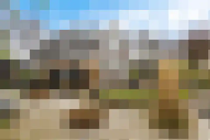 it Foardek 31 Heerenveen thumbnail 40