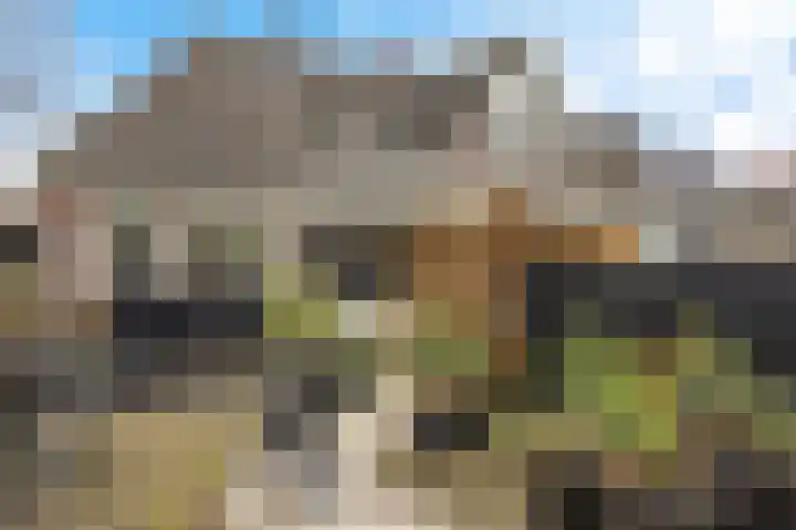it Foardek 31 Heerenveen thumbnail 41