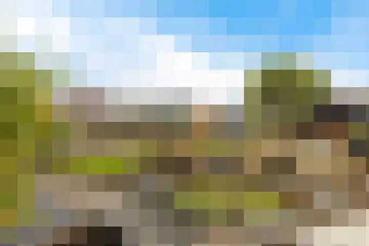 it Foardek 31 Heerenveen thumbnail 42