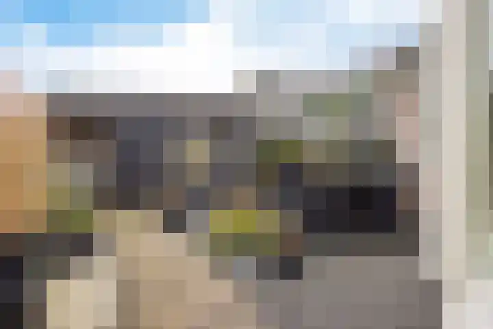 it Foardek 31 Heerenveen thumbnail 43