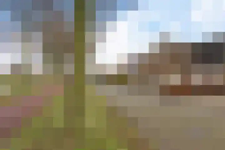 it Foardek 31 Heerenveen thumbnail 45