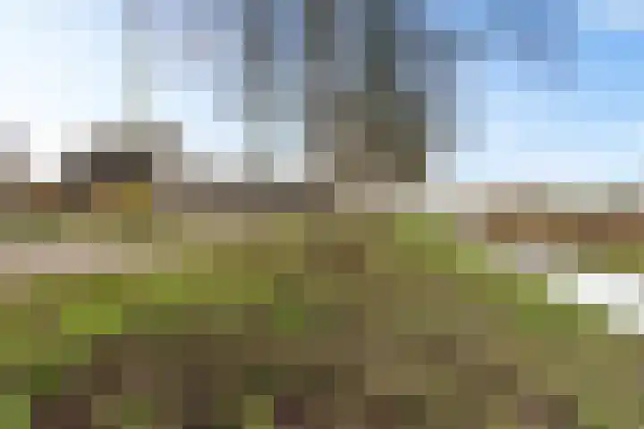it Foardek 31 Heerenveen thumbnail 46