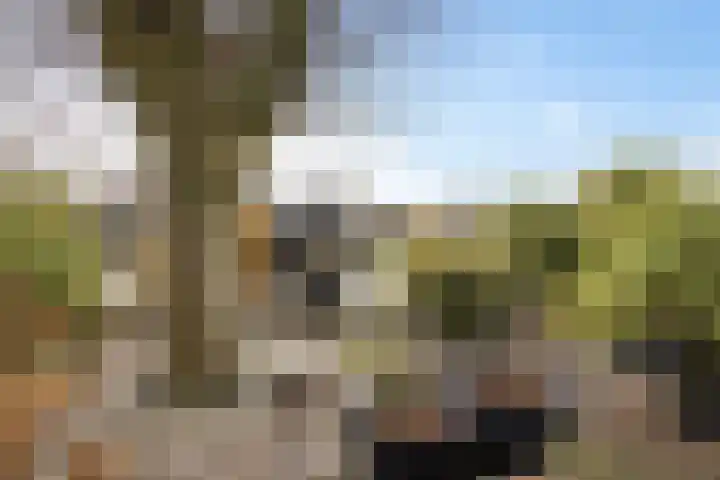 it Foardek 31 Heerenveen thumbnail 47