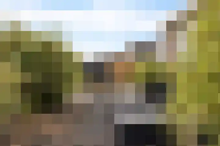 it Foardek 31 Heerenveen thumbnail 48