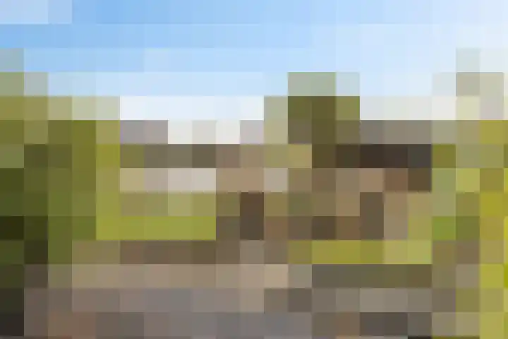 it Foardek 31 Heerenveen thumbnail 49