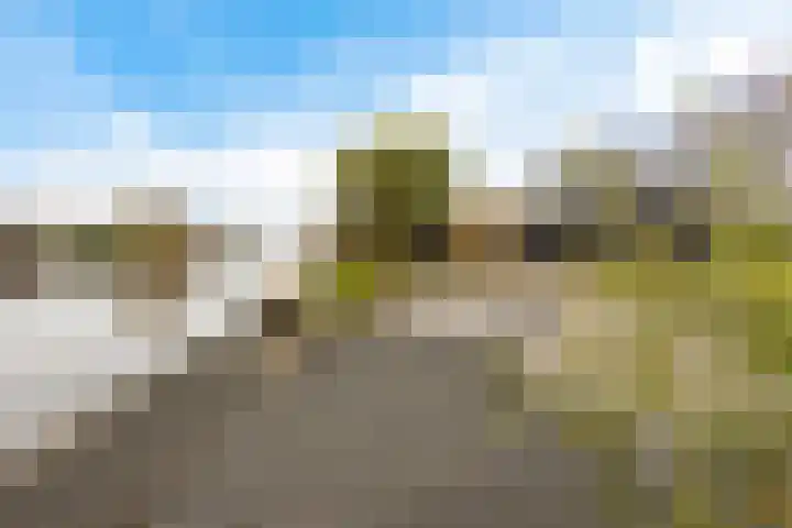 it Foardek 31 Heerenveen thumbnail 5