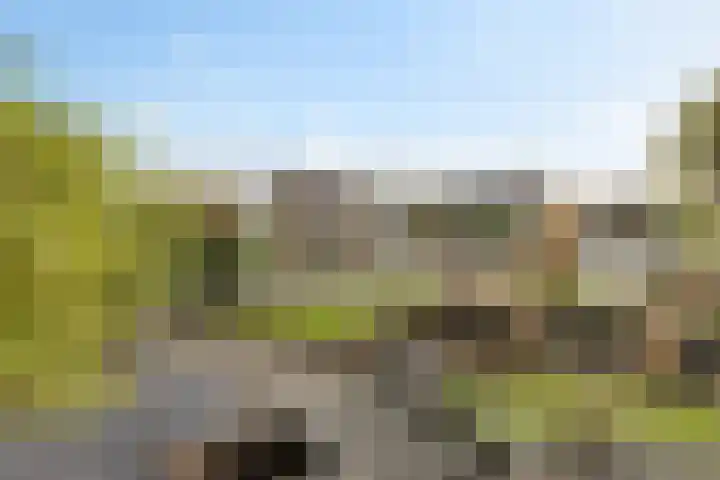 it Foardek 31 Heerenveen thumbnail 50