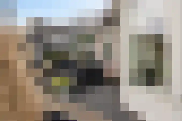 it Foardek 31 Heerenveen thumbnail 51