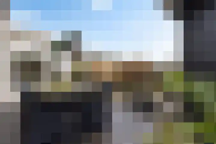 it Foardek 31 Heerenveen thumbnail 52