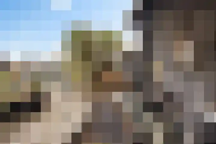 it Foardek 31 Heerenveen thumbnail 53
