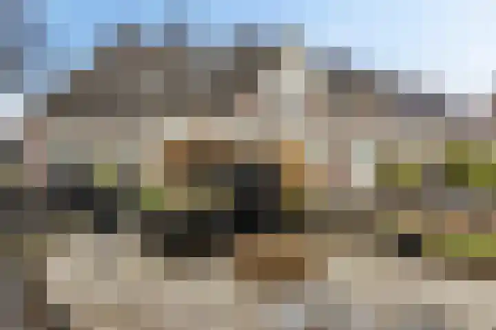 it Foardek 31 Heerenveen thumbnail 54