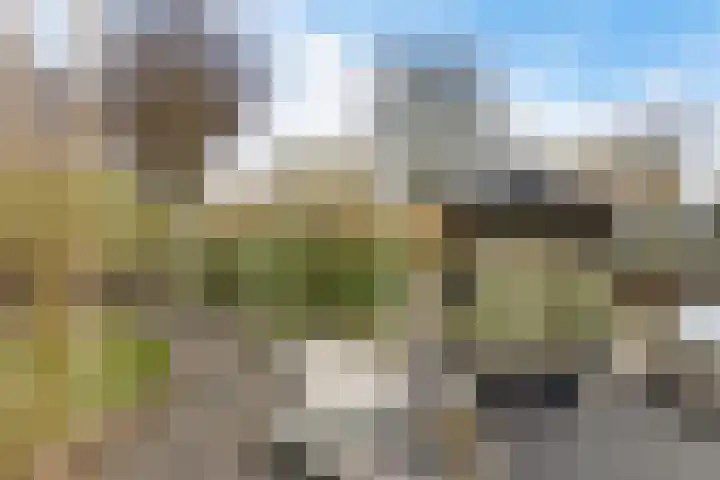it Foardek 31 Heerenveen thumbnail 55