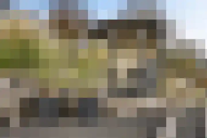 it Foardek 31 Heerenveen thumbnail 56
