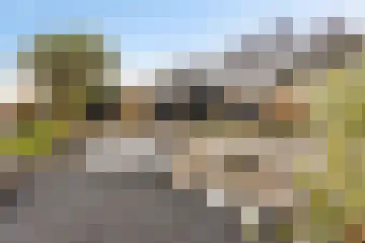 it Foardek 31 Heerenveen thumbnail 58