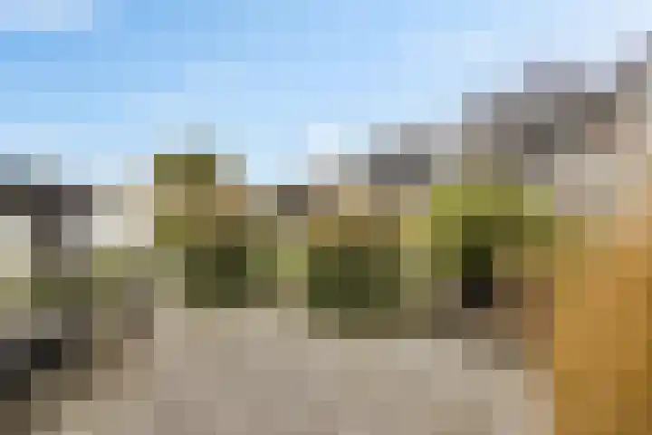 it Foardek 31 Heerenveen thumbnail 59