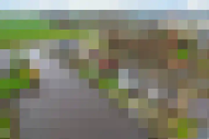 it Foardek 31 Heerenveen thumbnail 6