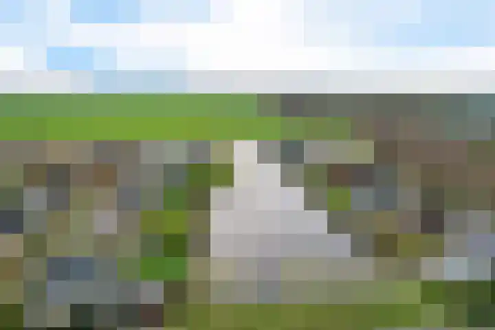 it Foardek 31 Heerenveen thumbnail 7