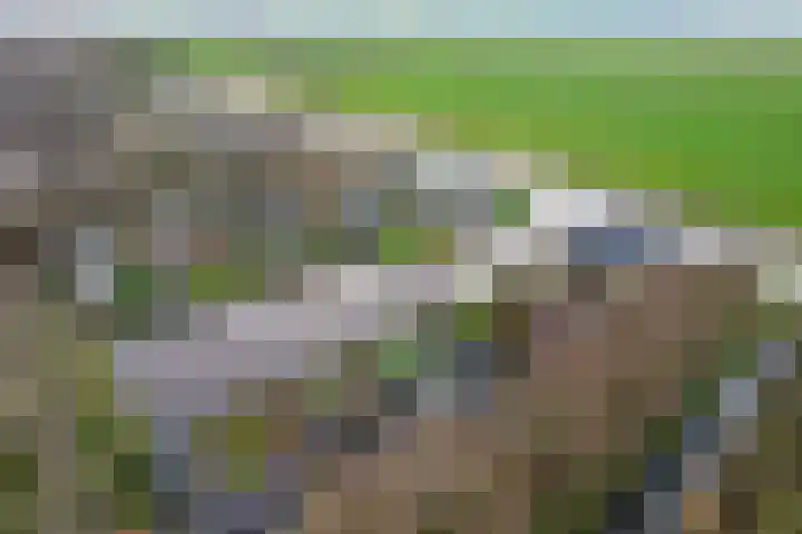 it Foardek 31 Heerenveen thumbnail 8
