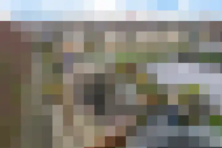 it Foardek 31 Heerenveen thumbnail 9