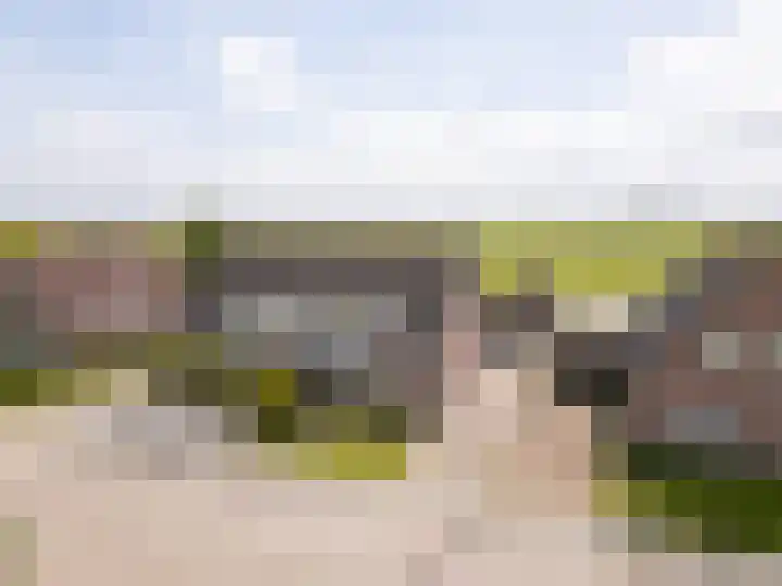 It Foarfjild 15 in Tjerkgaast