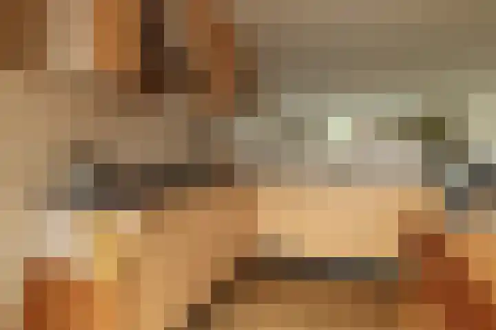 It Foarfjild 15 Tjerkgaast thumbnail 10