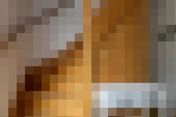 It Foarfjild 15 Tjerkgaast thumbnail 14
