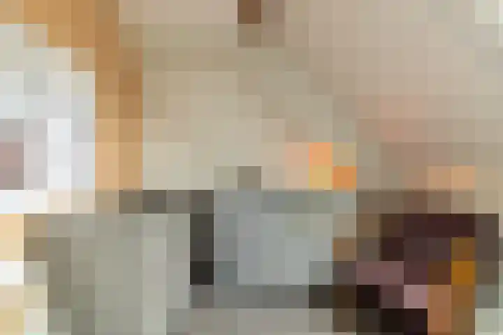 It Foarfjild 15 Tjerkgaast thumbnail 16