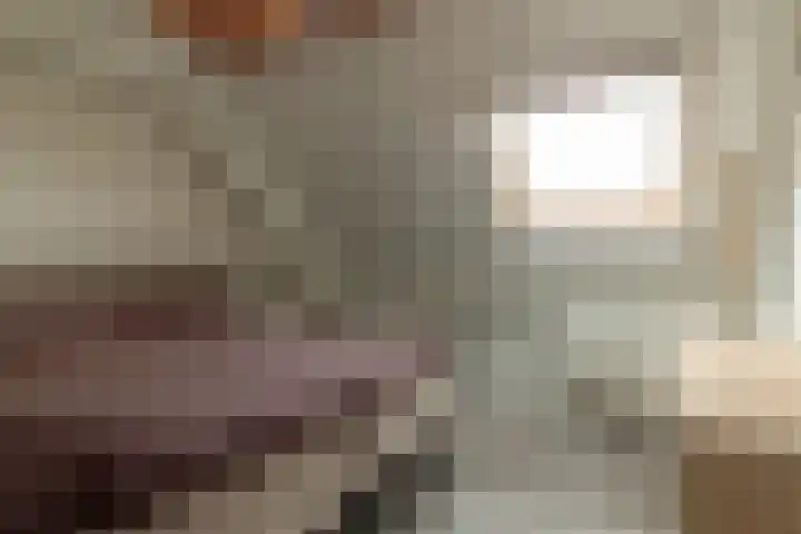 It Foarfjild 15 Tjerkgaast thumbnail 19