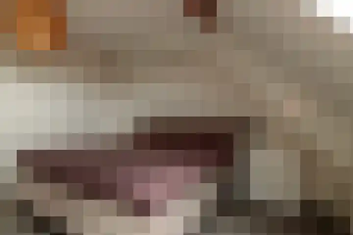 It Foarfjild 15 Tjerkgaast thumbnail 20