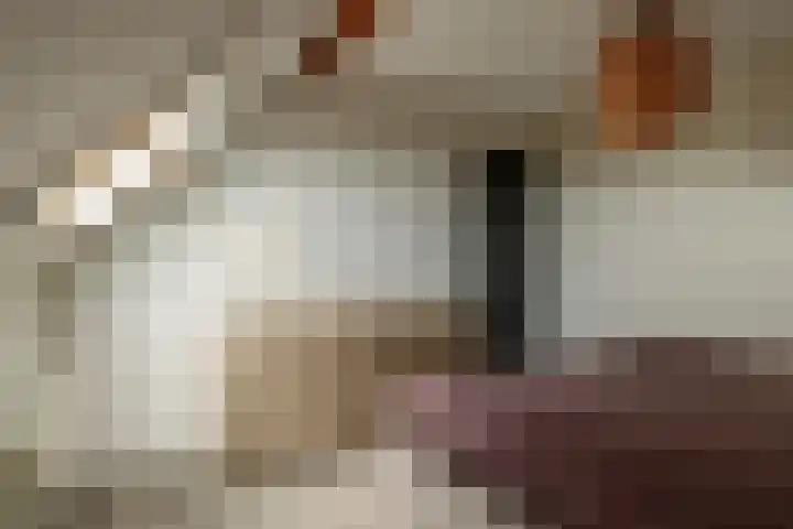 It Foarfjild 15 Tjerkgaast thumbnail 21