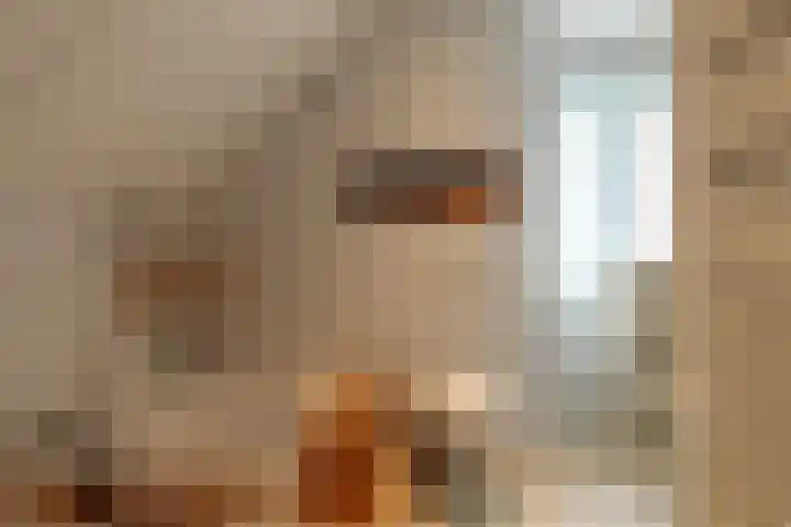 It Foarfjild 15 Tjerkgaast thumbnail 22
