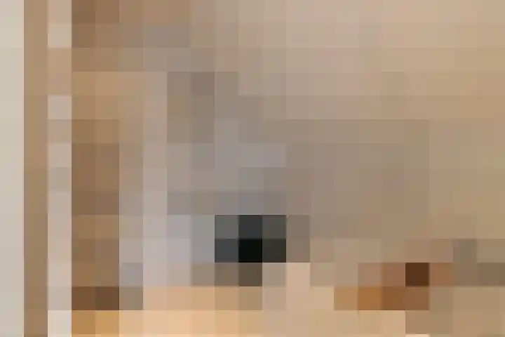 It Foarfjild 15 Tjerkgaast thumbnail 23
