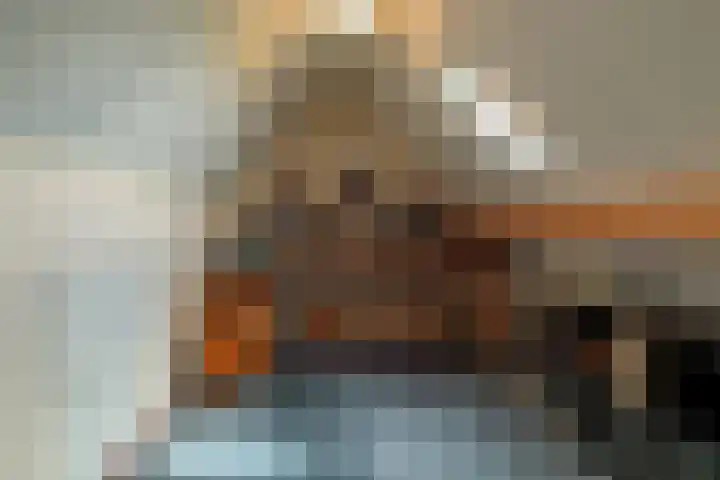 It Foarfjild 15 Tjerkgaast thumbnail 27