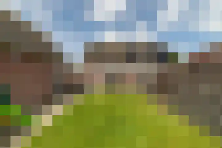 It Foarfjild 15 Tjerkgaast thumbnail 29