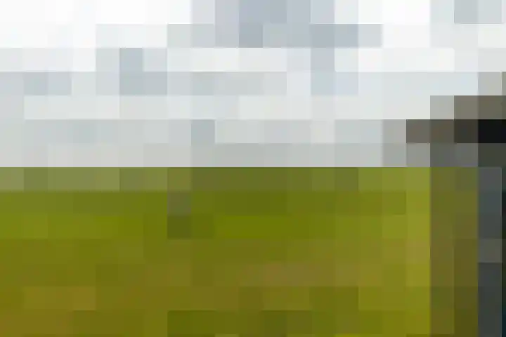 It Foarfjild 15 Tjerkgaast thumbnail 30