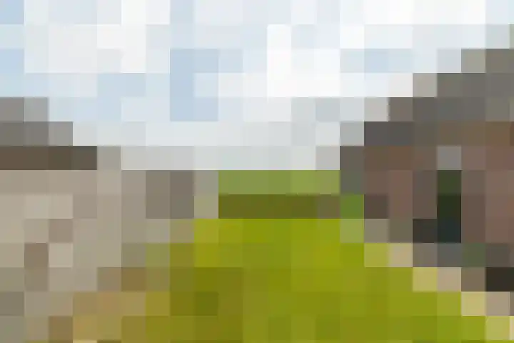 It Foarfjild 15 Tjerkgaast thumbnail 31