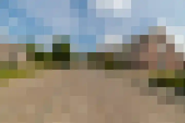 It Foarfjild 15 Tjerkgaast thumbnail 33