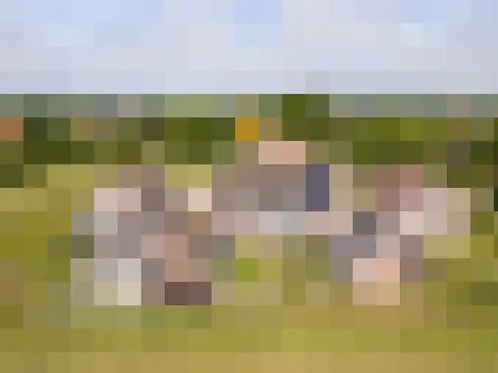 It Foarfjild 15 Tjerkgaast thumbnail 34