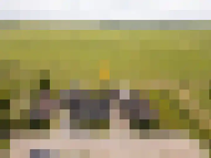 It Foarfjild 15 Tjerkgaast thumbnail 35